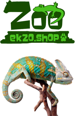 zoo-ekzo.shop
